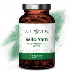 ECHT VITAL WILD YAM - 1 Glas mit 120 Kapseln