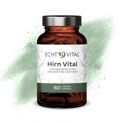 ECHT VITAL Hirn Vital - 1 Glas mit 60 Kapseln