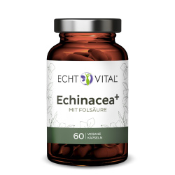 Echinacea-1er-250x250
